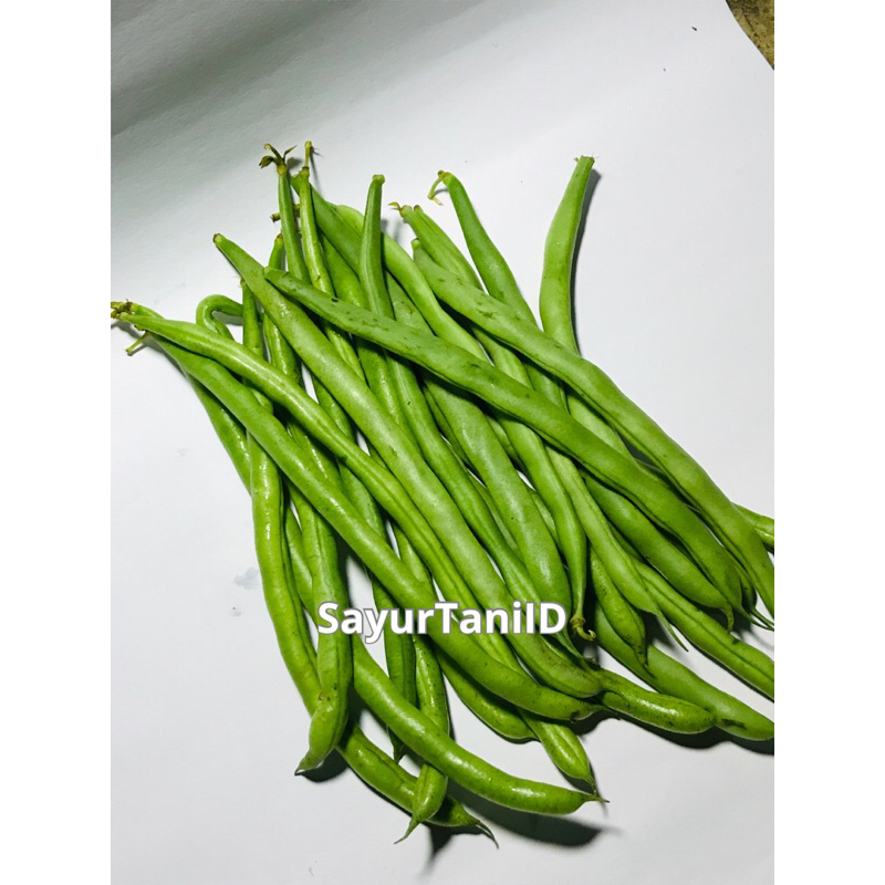 

Buncis - buncis segar