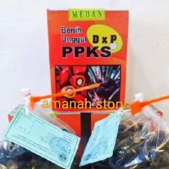 DxP PPKS 239, 540 NG