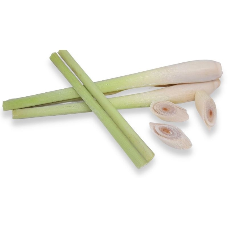 

serei atau daun sere