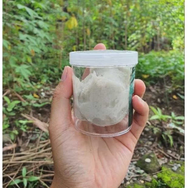 pulut burung putih super premium getah bendo asli