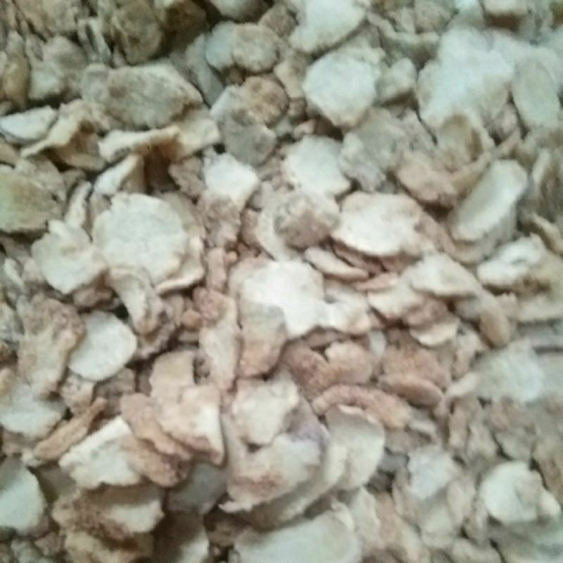 

ALZbehealthy Manisan empon empon(jahe, jahe merah, temu mangga, kencur, temulawak)