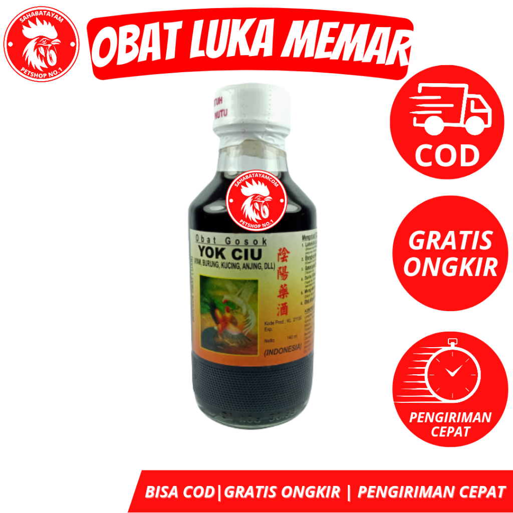 arak gosok ayam arak gosok ayam aduan arak ayam aduan gosok arak ayam arak gosok ayam laga arak