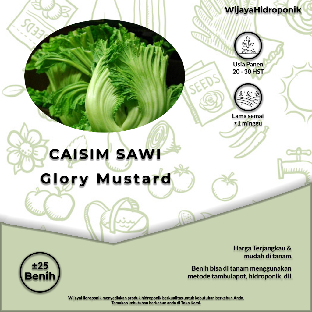 Benih Sawi Pahit Asin Caisim Sawi Glory Mustard  - ±25 Benih
