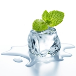 

TFA Wintergreen perasa sensasi dingin