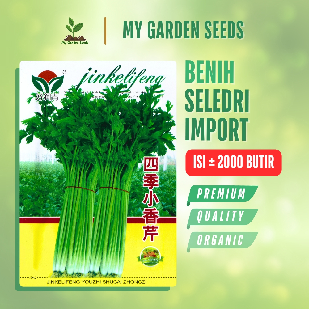 BENIH SELEDRI IMPORT KEMASAN IMPORT ± 2000 BUTIR