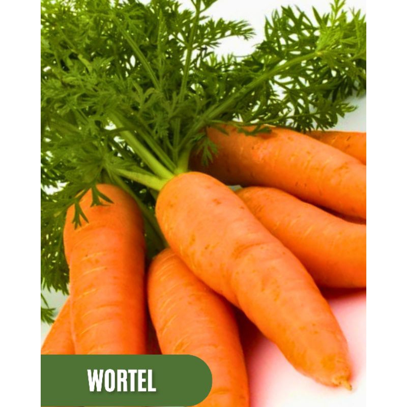 

Wortel Brastagi , Wortel Lokal Segar , Wortel Fresh 1kg , Wortel 500gram.