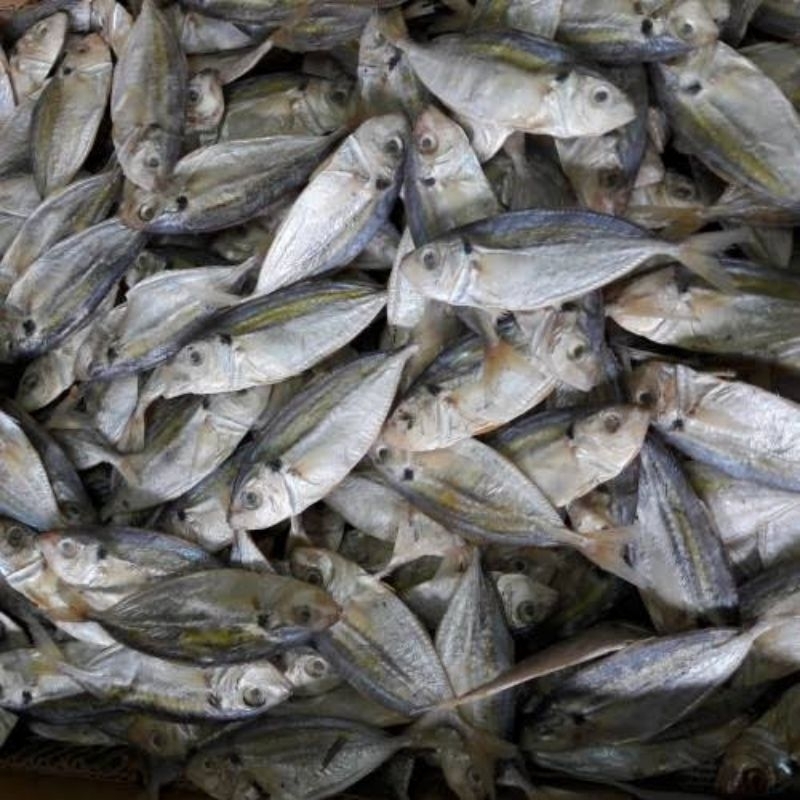 

Ikan Asin Catok/Selar 1Kg 250gr 500gr