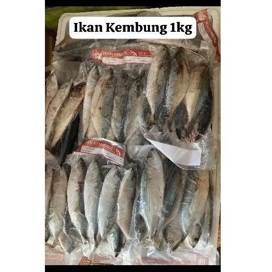 

ikan kembung berat 1kg