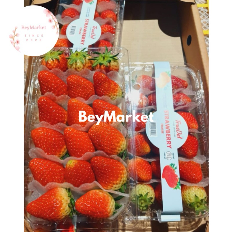 

Strawberry Korea Fresh Import 330g | Stroberi Korea | Pack