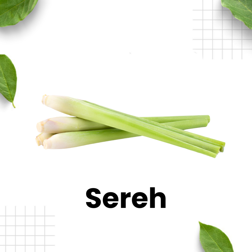 

Daun Sereh / serai / sayur hijau / sayur segar / sereh putih / Surabaya Sidoarjo