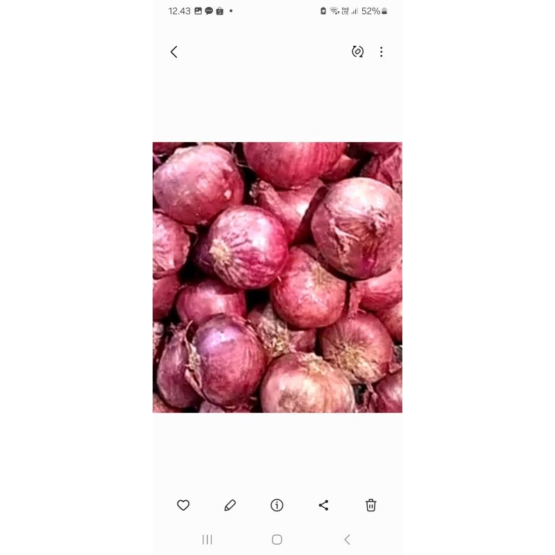 

Bawang merah paking/bawang india berat 250 gram