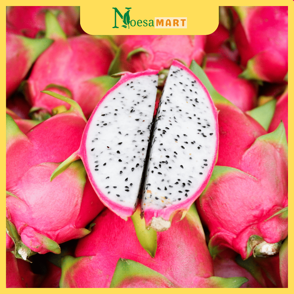 

BERGARANSI! Buah Naga Putih Fresh 1kg, 5kg, dan 10kg