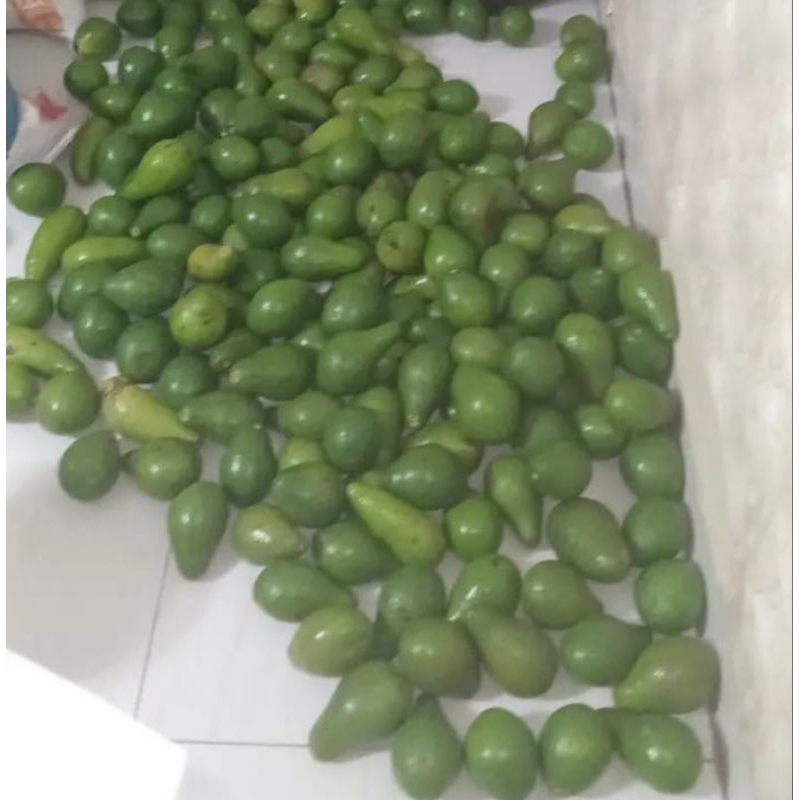 

Alpukat mentega samosir