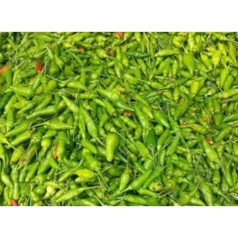 

Cabe rawit hijau/ cabe hijau rawit/ rawit cabe hijau