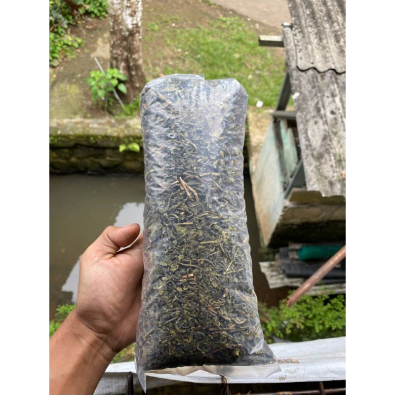 

Teh hijau asli 200gram cocok untuk program diet