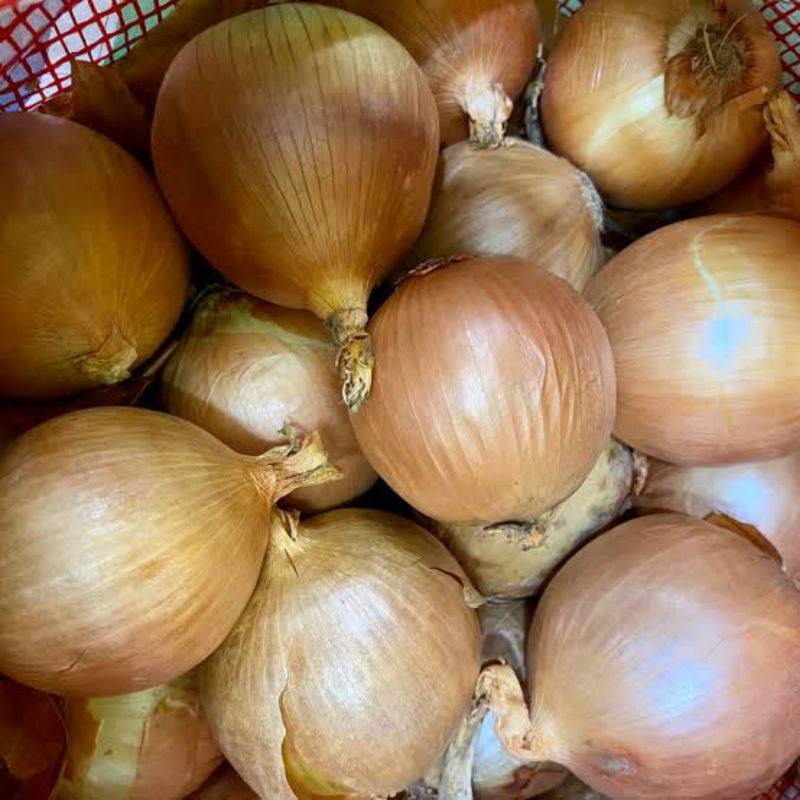 

Bawang Bombai segar fresh pasar flamboyan
