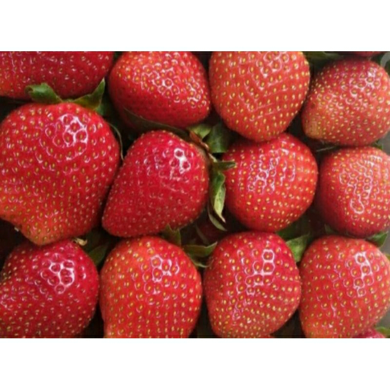 

strowberry 2kg