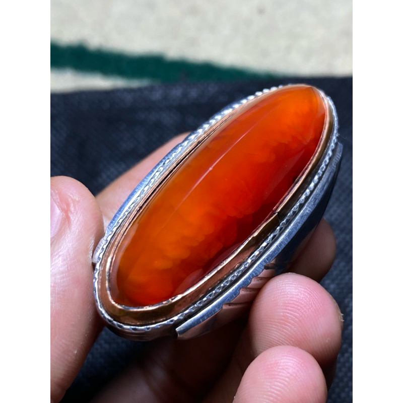 pandan merah sisik betok