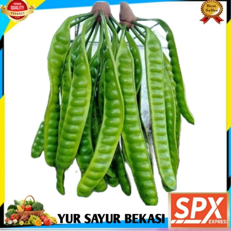 

Pete/Petai Segar Per Papan