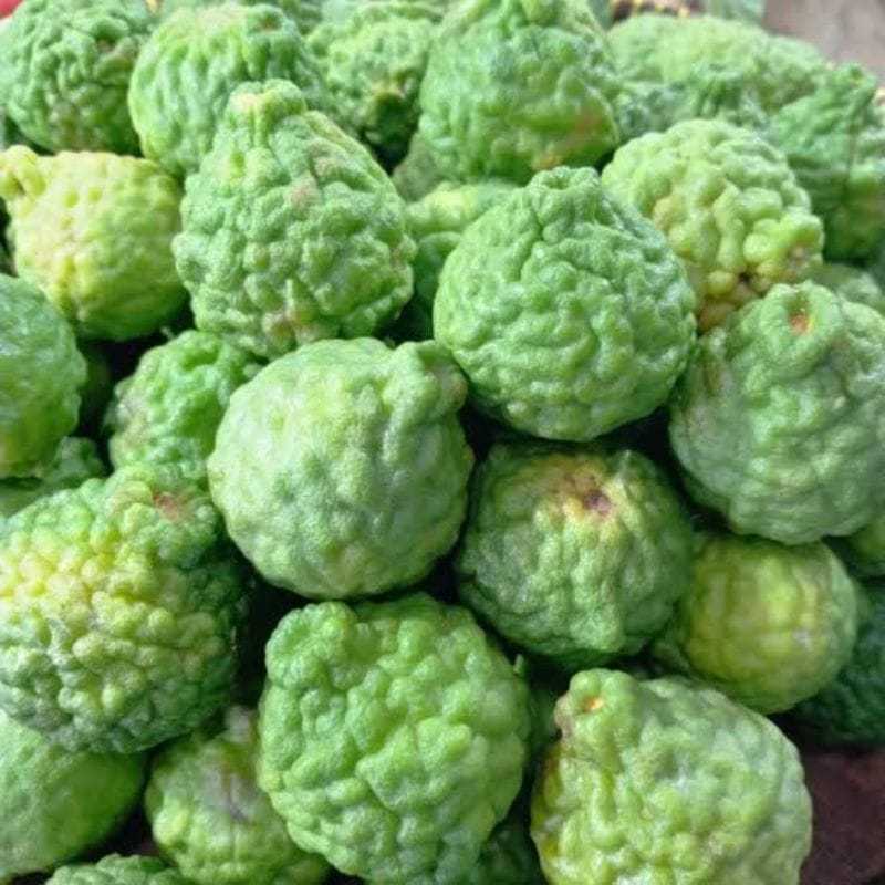 

Buah jeruk purut segar fresh per biji herbal bumbu dapur