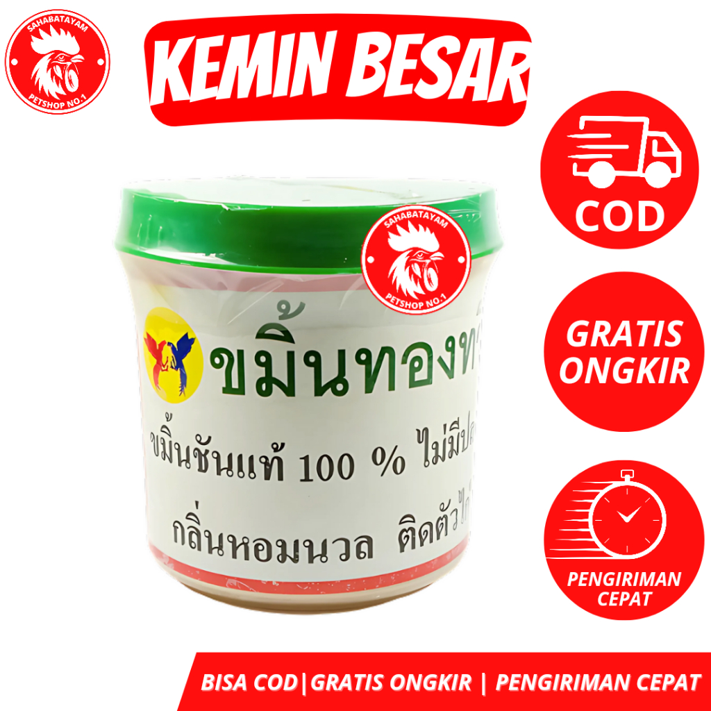 Kemin Besar Kemin Ayam Thailand Kemin Ayam Mempertebalkan Kulit Kemin Ayam Besar
