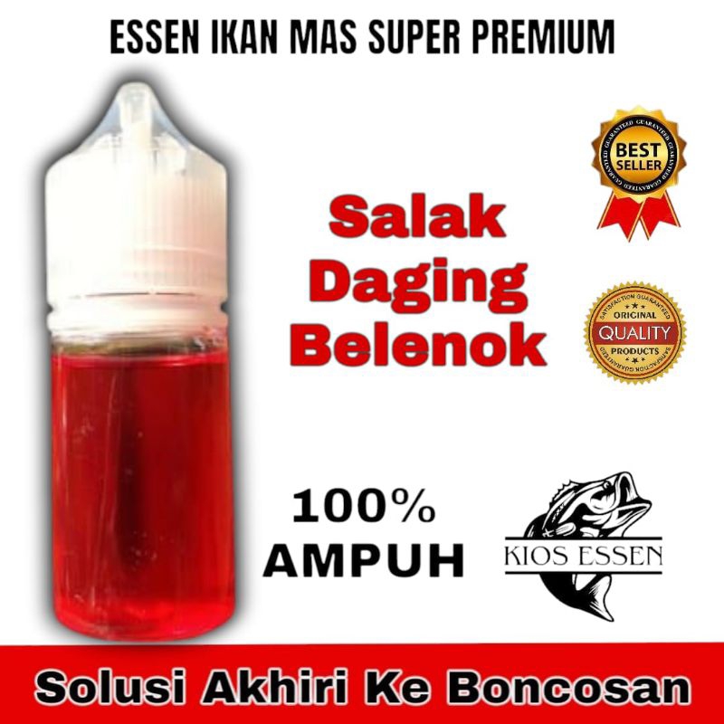 ESSEN OPLOSAN SALAK DAGING BELENOK UMPAN IKAN MAS SUPER GACOR