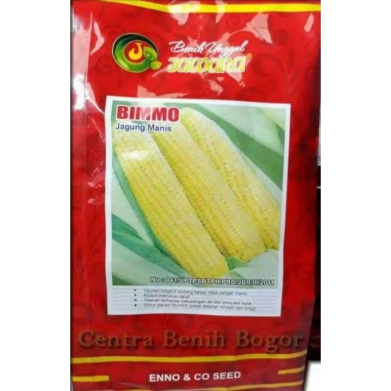

BENIH JAGUNG MANIS HIBRIDA UNGGUL VARIETAS "BIMMO