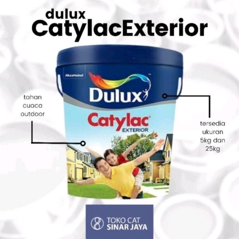 Dulux Catylac Exterior 5Kg Windsurfer