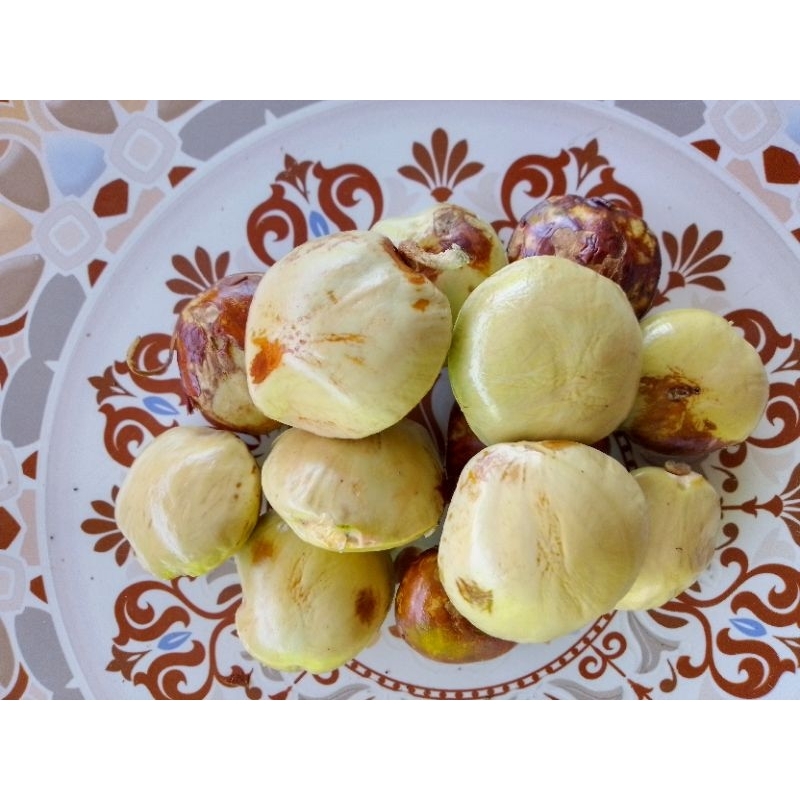 

Jengkol Tua Per PCS Legit dan Enak