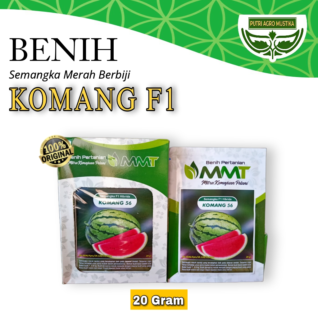 Benih Semangka Lorek Berbiji Komang 56 F1 (Asli 20gr)