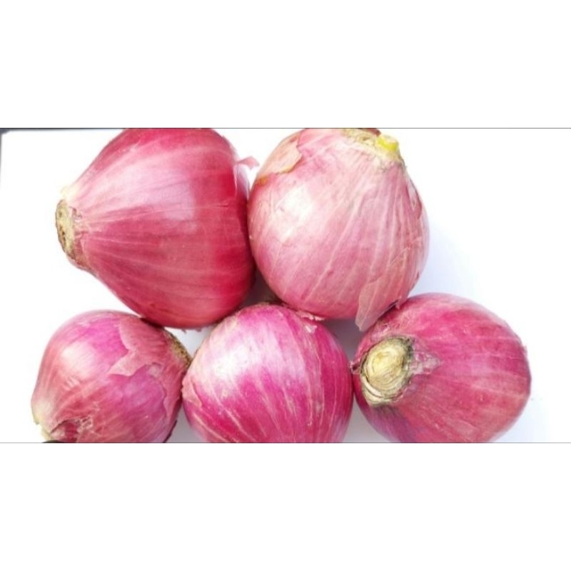 

bawang merah