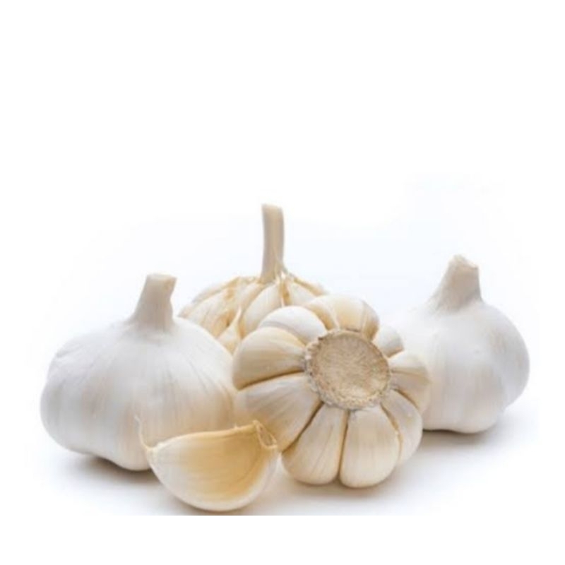 

bawang putih