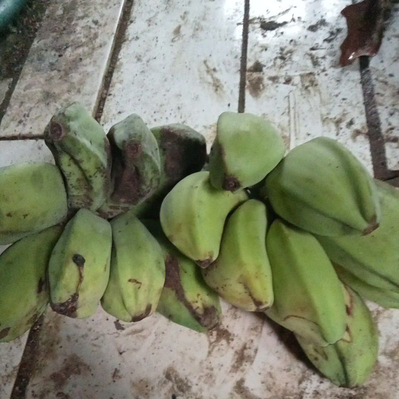 

Pisang kepok