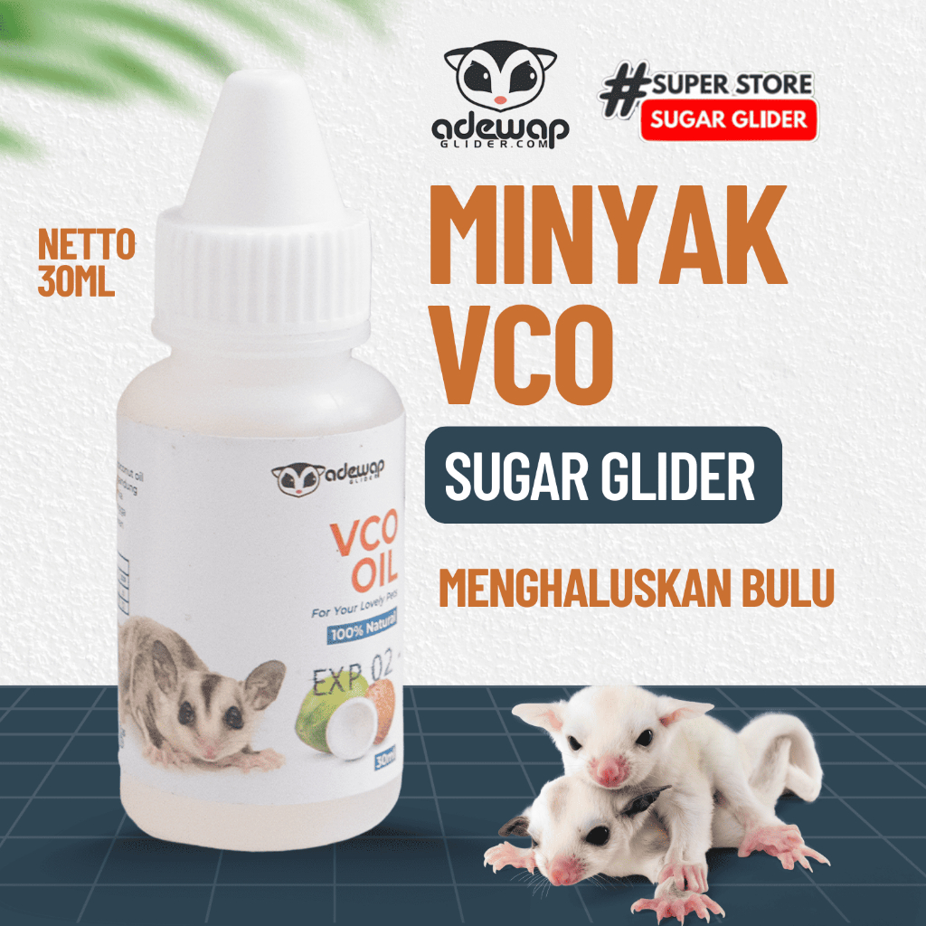 ADEWAP GLIDER VCO Virgin Coconut Oil Minyak Kelapa Murni Obat Perawatan Sugar Glider - 30ML