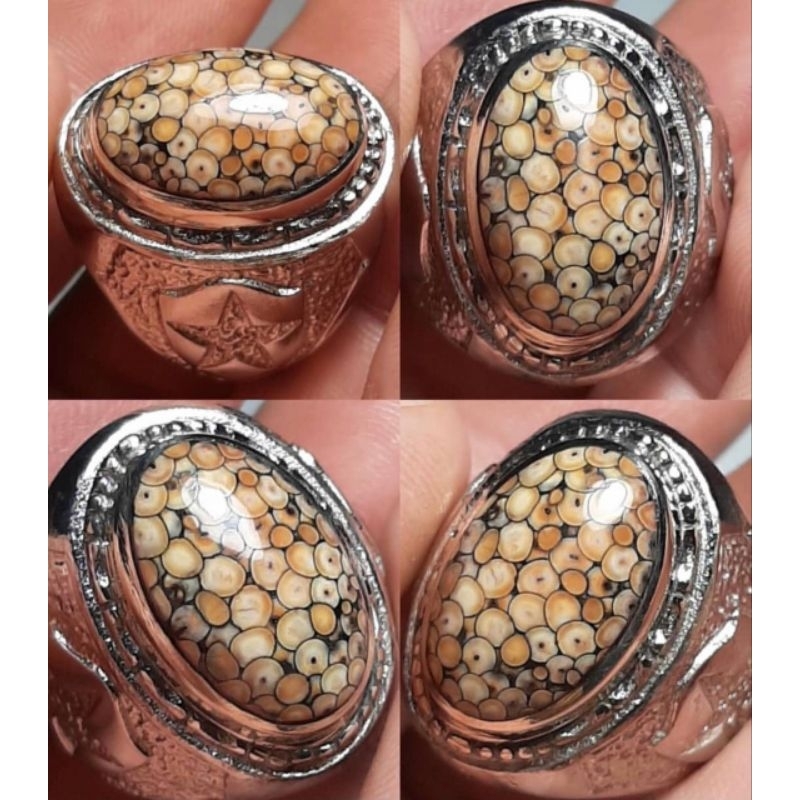 JHIPEN SISIK ULAR FULL SISIK ANTIK LANGKA