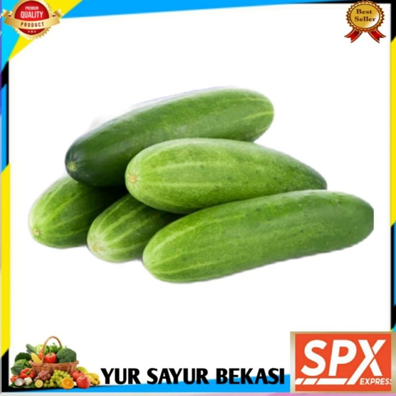 

Timun/Ketimun/Mentimun Segar 250gr.