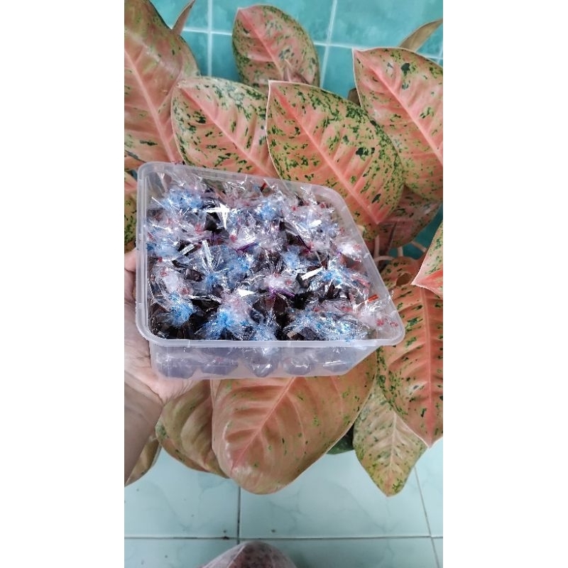 

Madumongso Premium "Disrile" by Ibu Sri