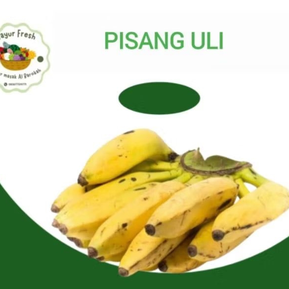 

PISANG ULI 1SISIR