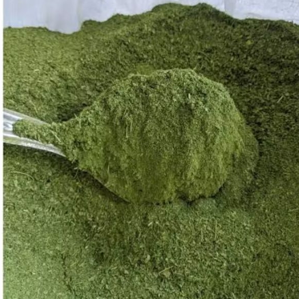 

Bubuk Serbuk Kelor Kasar 1 kg Kilogram