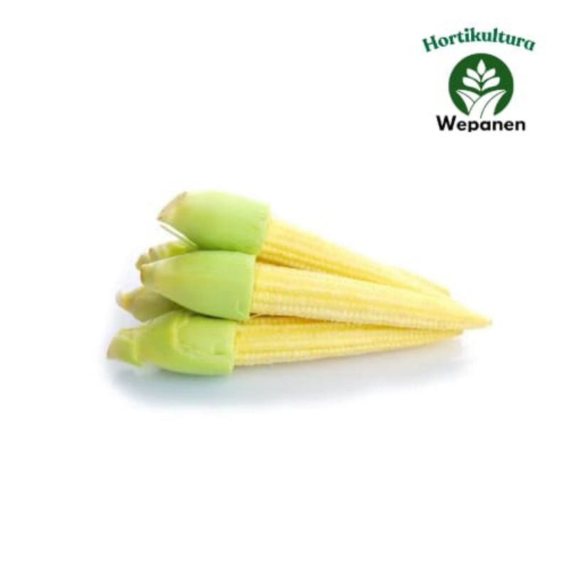 

putren Jagung muda Per 1 pack