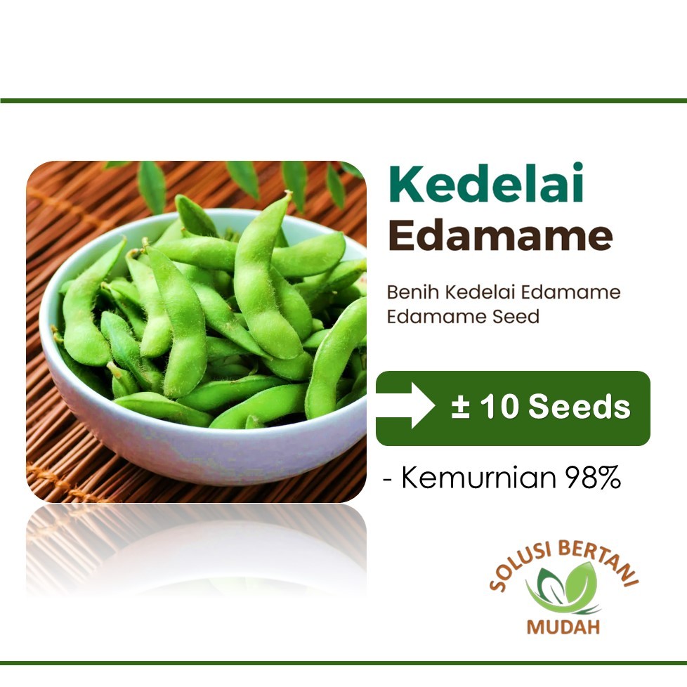 Bibit Benih Sayuran Edamame Kedelai Jepang Unggul
