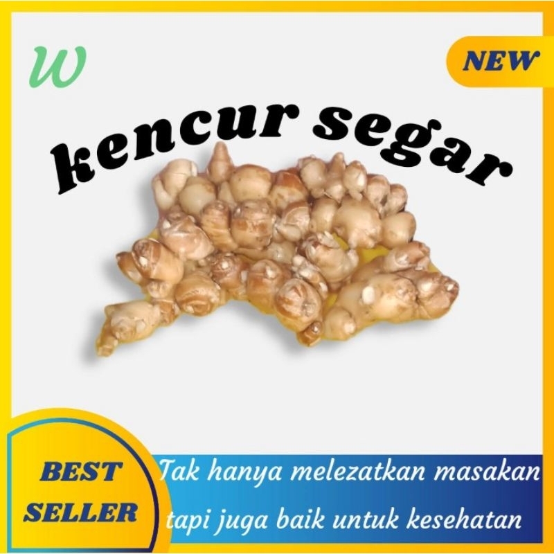 

kencur segar 250gr,kencur emprit(mungil) kualitas lebih setrong