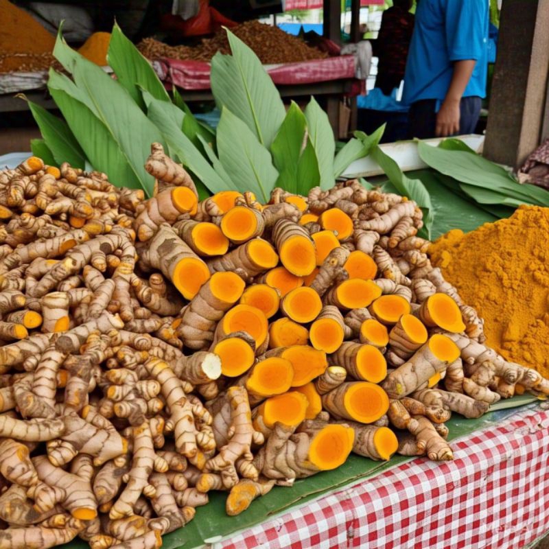 

Kunyit Kunir Segar Fresh Lokal Berkualitas Untuk Jamu tradisional , Masakan dan Kesehatan isi 1 kg