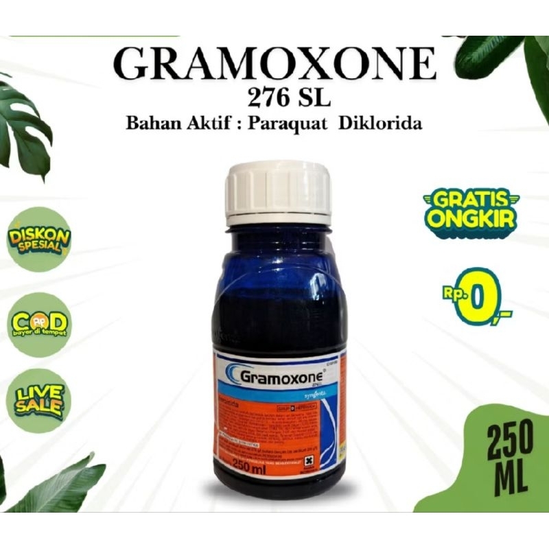 Obat Mati Daun 1 Hari Langsung Kering/Kuning Gramoxone 250ml 276sl PEMBASMI RUMPUT & GULMA 250ml Oba