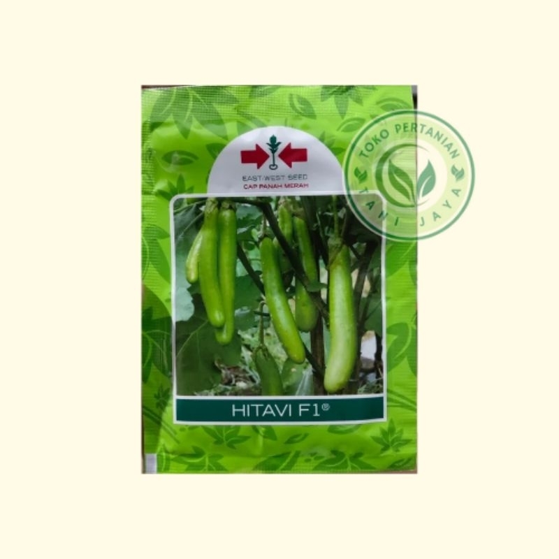 Benih Bibit Terong Panjang Hijau HITAVI F1 Panah Merah