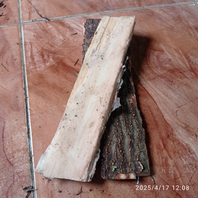 

Kulit kemiri segar per1kg