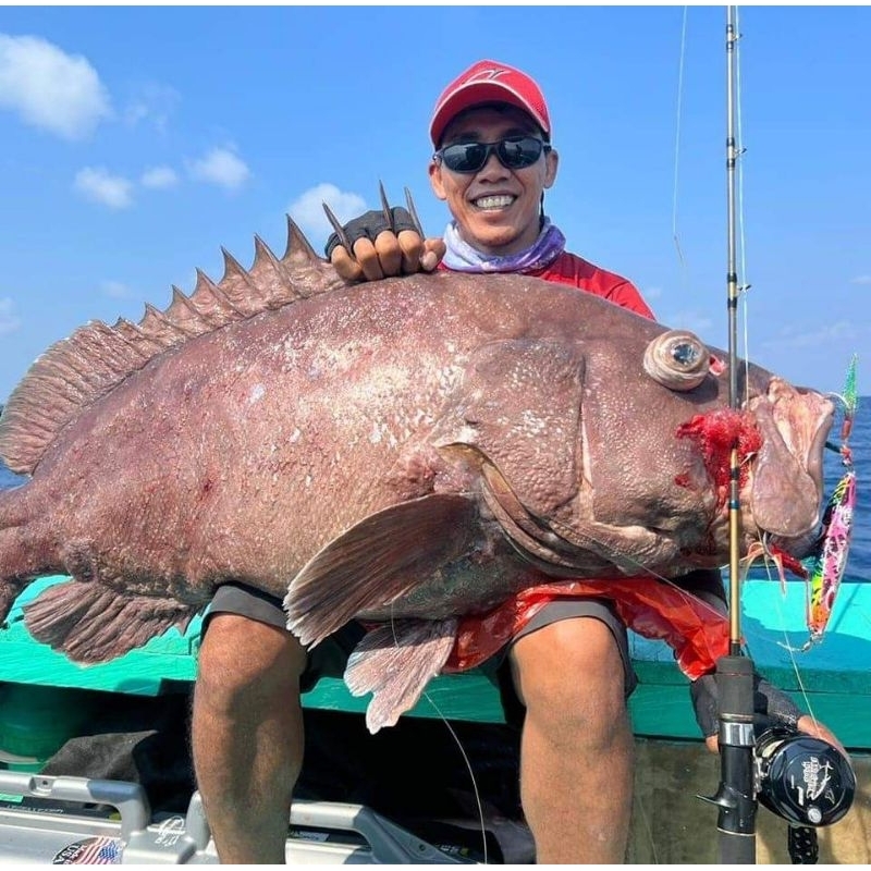 Jig Bali Deepslow 500 Gram Original