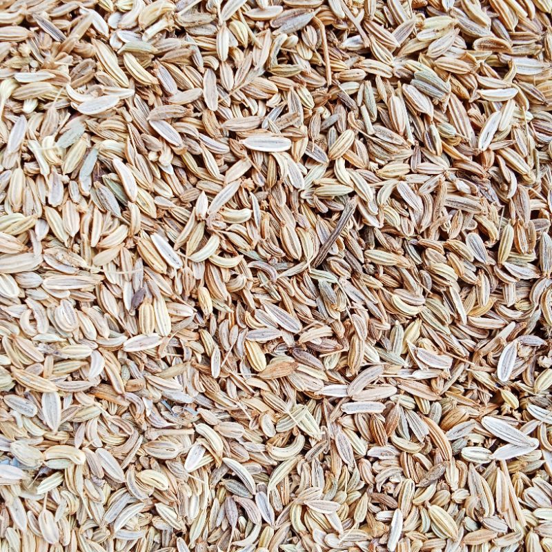 

ADAS MANIS ( FENNEL SEEDS ) KEMASAN 100 GRAM