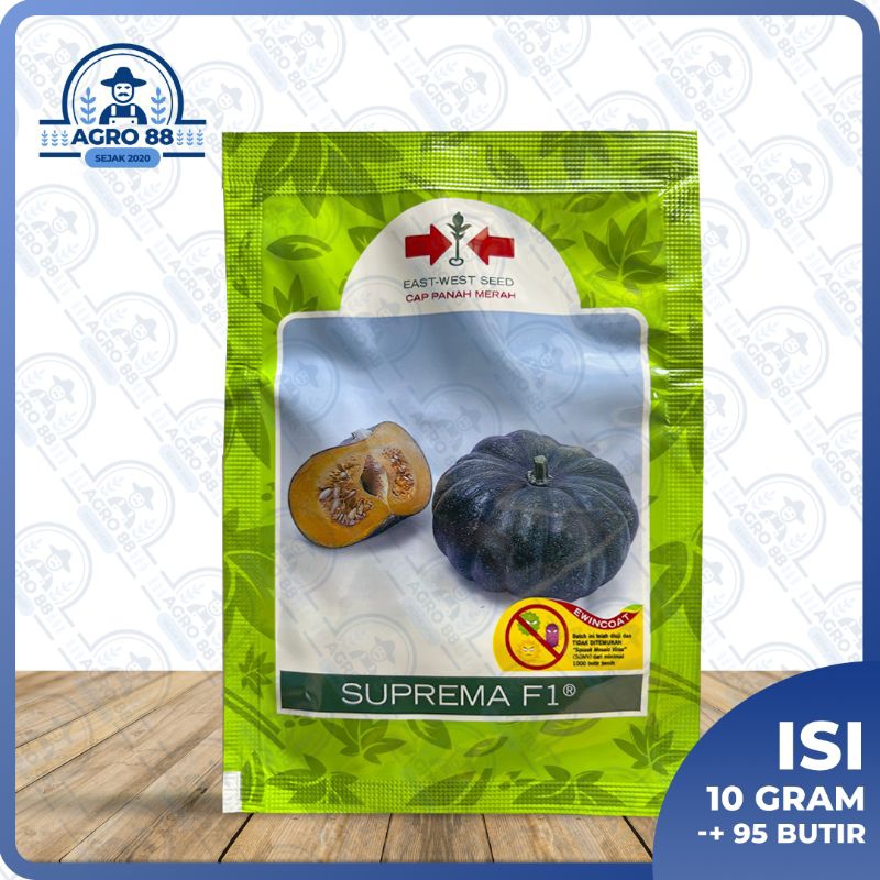 

SUPREMA labu panah merah