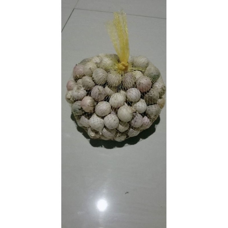 

Bawang putih tunggal ukuran tanggung